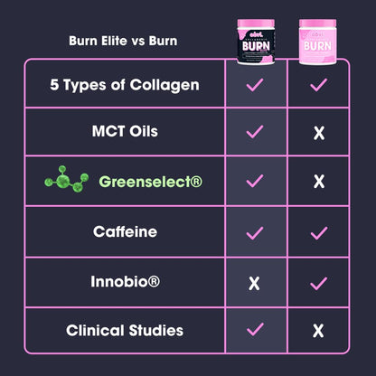 Obvi Burn Elite, Collagenic Thermogenic for Weight Loss, Boost Energy and Focus