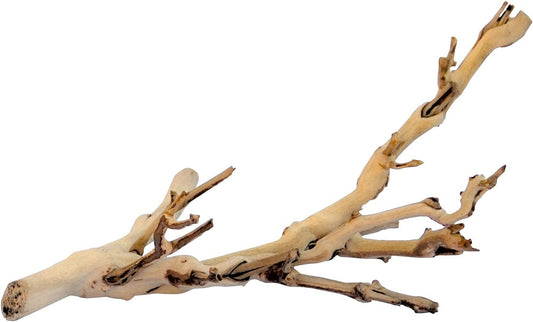 Exo Terra Forest Branch Small - Natural Wood Terrarium Decoration | For Reptiles, Amphibians & Small Pets