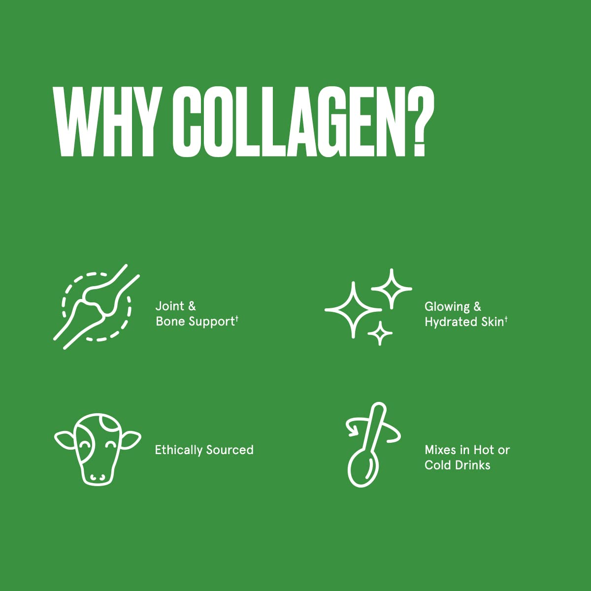 Bulletproof Unflavored Collagen Protein Powder, 17.6 Ounces, Grass-Fed Collagen Peptides