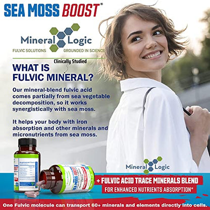 Power By Naturals Sea Moss Advanced with Black Seed Oil & Elderberry Capsules