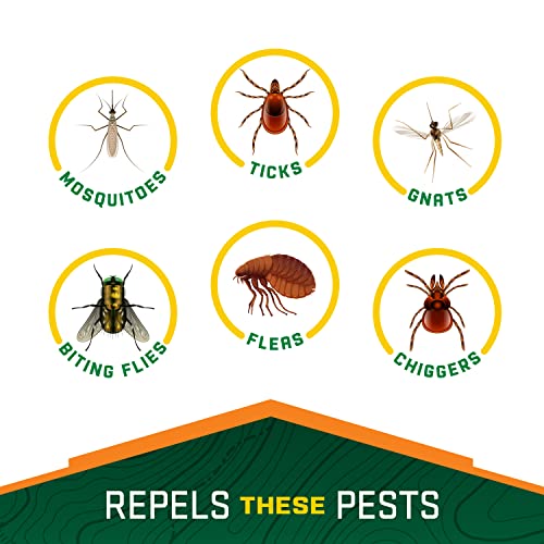 Repel 100 Insect Repellent, Pump Spray, 4-Fluid Ounces, 10-Hour Protec