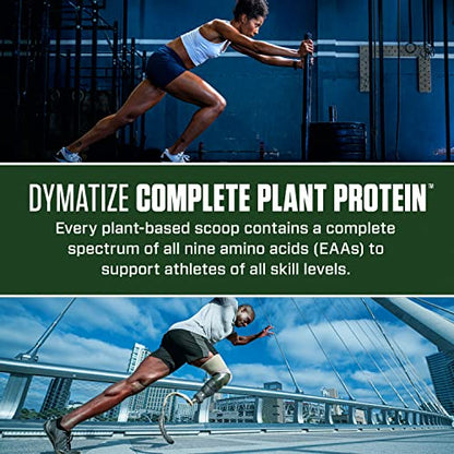 Dymatize Vegan Plant Protein, Smooth Vanilla, 25g Protein, 4.8g BCAAs, Complete