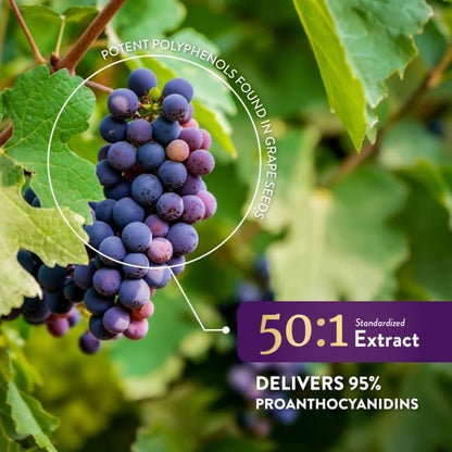 Grape Seed Extract Capsules, 8 Month Supply, 50:1 Concentrated Grape Seeds | 95% Proanthocyanidins for Antioxidant Support, Grapeseed Extract Supplement, Vegan, Gluten-Free and Non-GMO, 250 Capsules