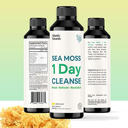 Sea Moss 1 Day Cleanse - Full Body Detox to support bowel movements, Kidney Health