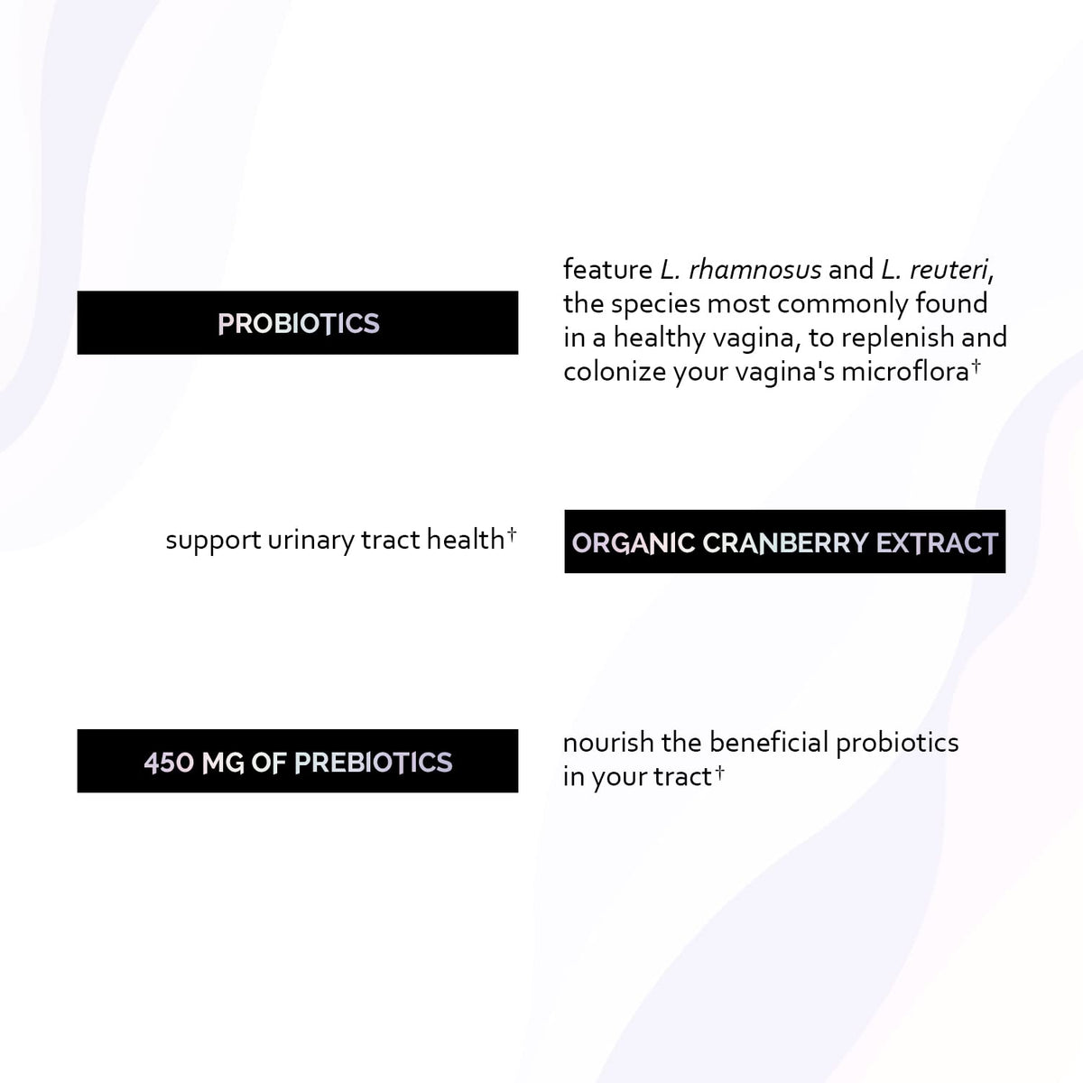 Undone By Nature Probiotic for Women, 50 Billion CFU Women's Probiotics with Prebiotics