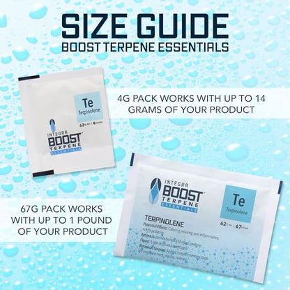 Integra Boost - Terpinolene Infusion - 4 Gram Terpene Essentials Two-Way Humidity Control at 62 Percent RH