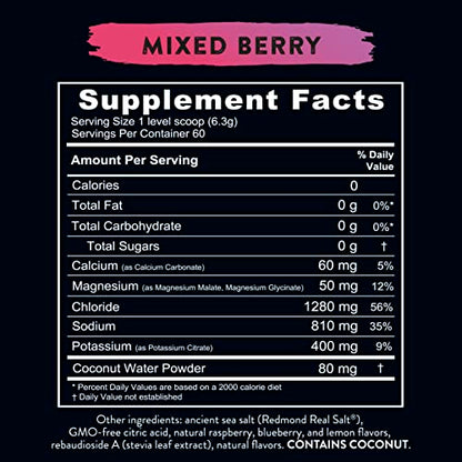 REDMOND Re-Lyte Hydration Electrolyte Mix (Mixed Berry)