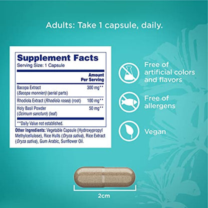 One A Day Cognitive Supplement – Brain Supplement to Support Cognitive Performance