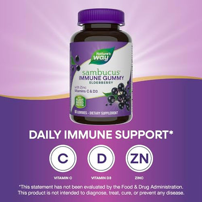 Nature's Way Sambucus Elderberry Immune Gummies, Daily Immune Support