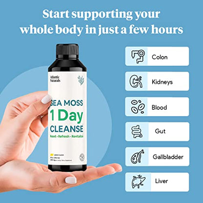 Sea Moss 1 Day Cleanse - Full Body Detox to support bowel movements, Kidney Health
