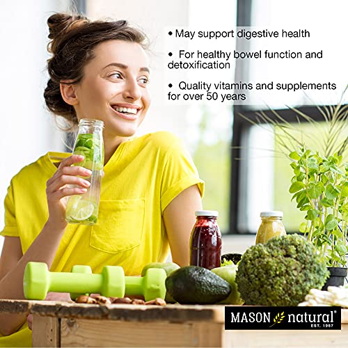 MASON NATURAL Whole Herb Ginger 500 mg, Natural Herbal Supplement, 60 Capsules