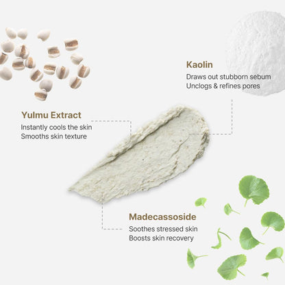 RETURNITY Yulmu Skinclean Mask, Gentle Exfoliating Wash-off Face Mask with Coix seed Extract for Pores and Uneven Skin, 120g Korean Skincare