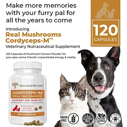 Real Mushrooms Cordyceps Pet Support Mushroom Supplement (120ct) Cat & Dog
