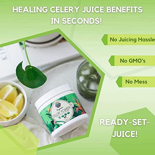 Organic Celery Juice Powder (40 Servings) Supports Gut Health, Detox Juice Cleanse