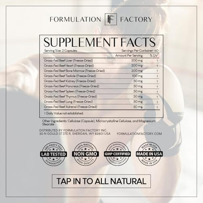Formulation Factory Self Obsessed Shilajit Gummies x Primal Power (Bundle) – Men's Botanical & Ancestral Vitality Stack with Shilajit, Tongkat Ali, Grass-Fed Beef Liver, Heart & Bone Marrow