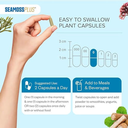 Power By Naturals Sea Moss Plus - USDA Certified Organic Irish Sea Moss Capsules