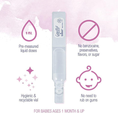 Boiron Camilia Drops 40 Count (Pack of 2) Relief of Painful or Swollen Gums and Irritability in Babies - for Daytime and Nighttime - Liquid Drop for Baby