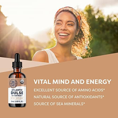 Vimergy Wild Blueberry Powder (120g) & Atlantic Dulse Liquid (55mL) Bundle
