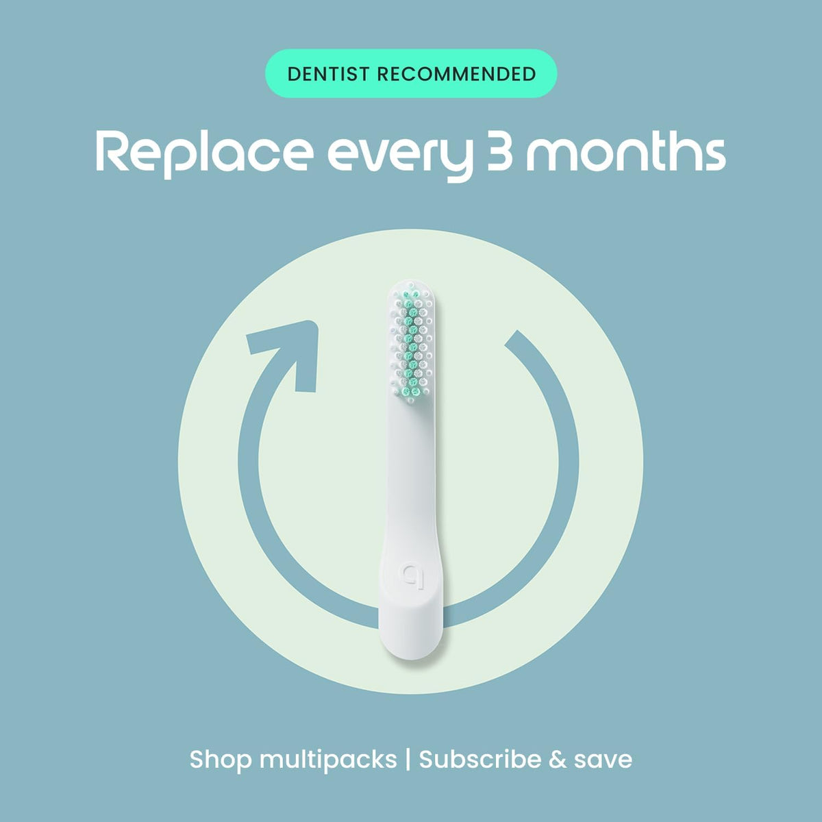 Quip Sonic Electric Toothbrush for Adults, Extra Brush Head, Marine Blue
