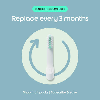 Quip Sonic Electric Toothbrush for Adults, Extra Brush Head, Marine Blue