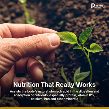 Premier Research Labs Galactan - Prebiotics for Regularity & Healthy Microbiome