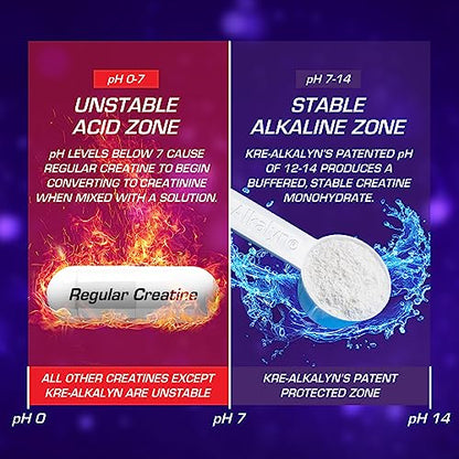 EFX Sports Kre-Alkalyn EFX Powder | pH Correct Creatine Monohydrate Powder Supplemen
