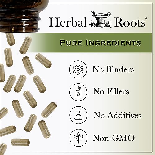 Herbal Roots Panax Ginseng | Organic Korean Ginseng Root Powder | 1000mg | High