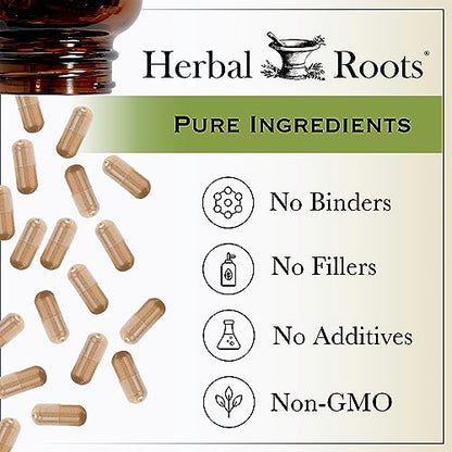 Herbal Roots Panax Ginseng | Organic Korean Ginseng Root Powder | 1000mg | High