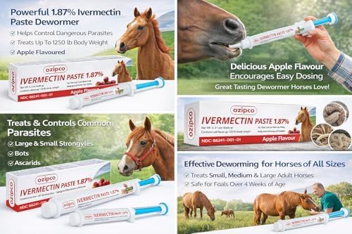 Ivermectin Horse Paste 1.87% | Apple Flavor – 6.08g Syringe for Equine Use Only Up to 1250 LB