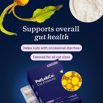 PetLab Co. Probiotics for Cats, Gut & Digestive Support, 30 Capsules | 6-strain blend with 2.1 billion CFUs and pumpkin prebiotic to support digestive function and healthy stool