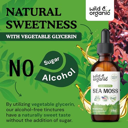 Sea Moss - Organic Sea Moss Liquid Drops - Irish Sea Moss Supplement - Seamoss