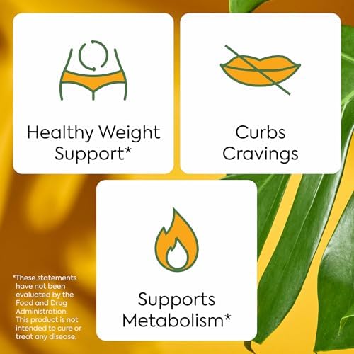 Plant People Wellness Bundle – Zero Sugar Digestive & Wellness Support (60 Ct Each)