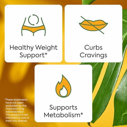 Plant People Wellness Bundle – Zero Sugar Digestive & Wellness Support (60 Ct Each)