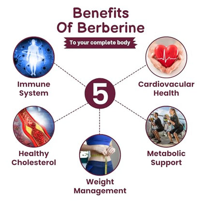 SHRISHA HERBAL Indian Berberine 1500mg - Berberine HCl 500mg Per Capsule - Support