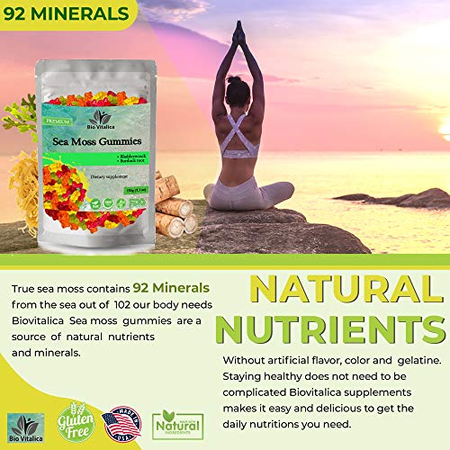 Sea Moss Gummies - Irish sea Moss raw Organic, Bladderwrack, Burdock Root
