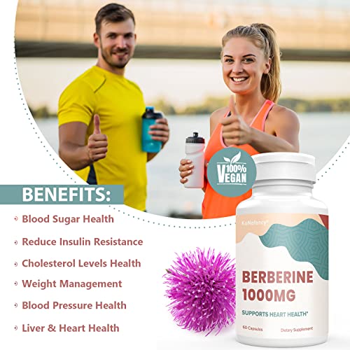 KoNefancy Berberine 1000mg with Silymarin,High Absorption Berberine HCL Supplements