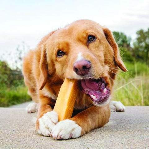 Chewy 2oz Travel Size Natural Himalayan Goodness Dog Chew