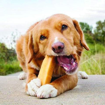 Chewy 2oz Travel Size Natural Himalayan Goodness Dog Chew