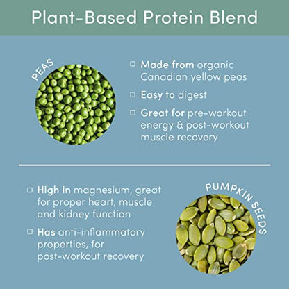 Tone It Up Plant Based Protein Powder I Dairy Free, Gluten-Free, Kosher, Non-GMO Pea