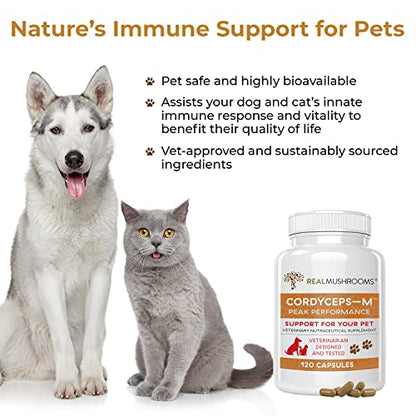 Real Mushrooms Cordyceps Pet Support Mushroom Supplement (120ct) Cat & Dog