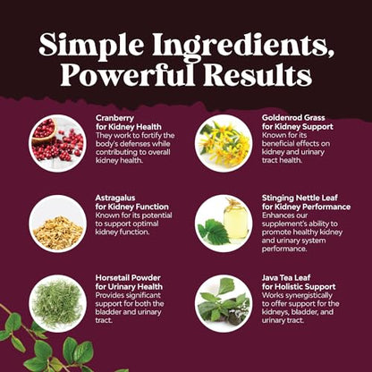 Kidney Support Cranberry Pills for Women and Men - High Strength Kidney Cleanse Detox