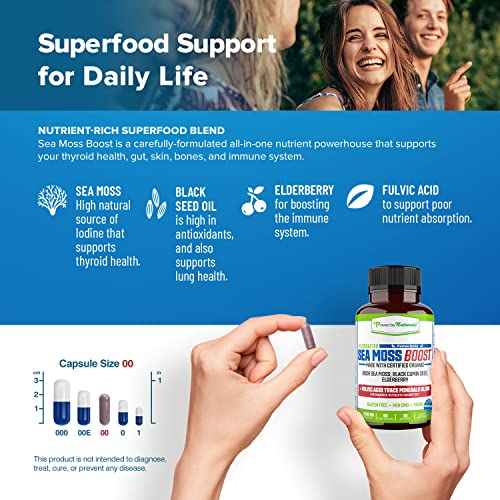 Power By Naturals Sea Moss Advanced with Black Seed Oil & Elderberry Capsules
