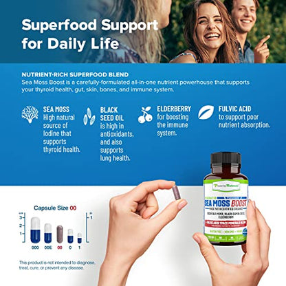 Power By Naturals Sea Moss Advanced with Black Seed Oil & Elderberry Capsules