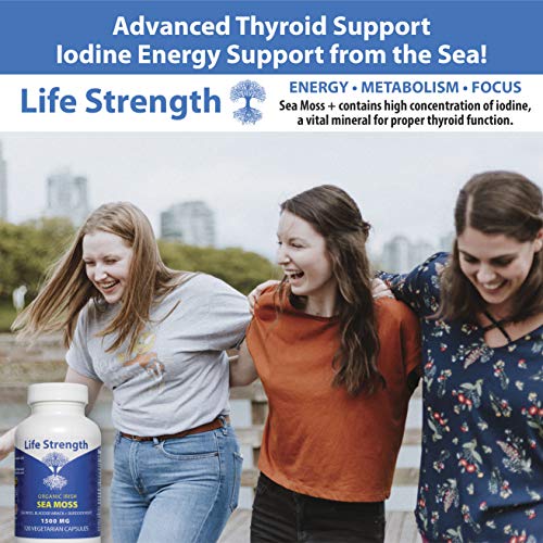 Life Strength Organic Sea Moss 120 CT Wildcrafted Irish Sea Moss and Bladderwrack Burdock