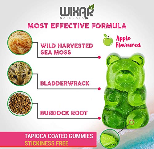 WIXAR NATURALS Sea Moss Gummies - Natural Irish Sea Moss and Bladderwrack