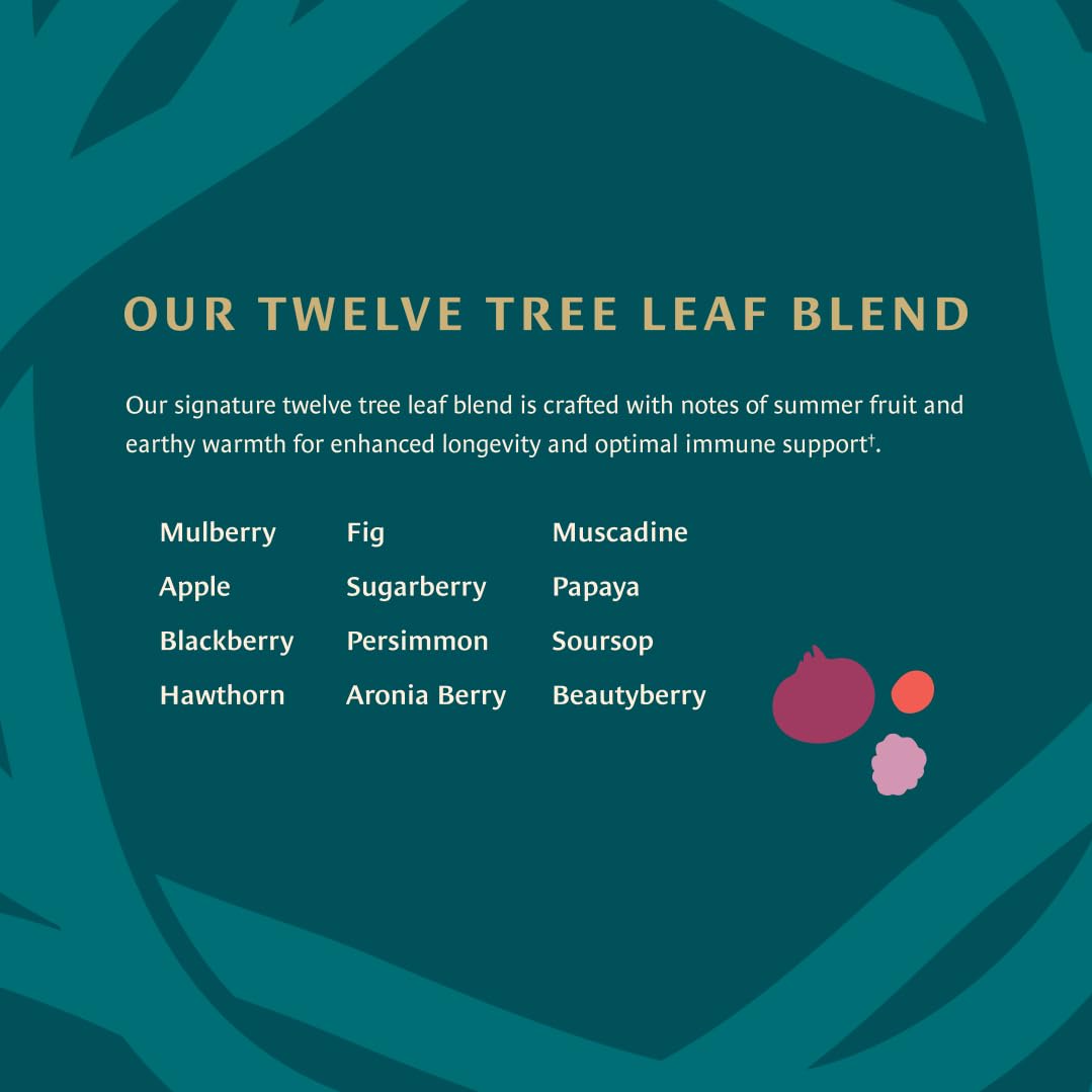 Healing Leaves, Longevity Blend Loose-Leaf Tea- 30 Servings | Biblically Inspired, 12 Fruit Tree Leaf Blend. Supports Digestion, Immune Function, Healthy Inflammation Response and Energy