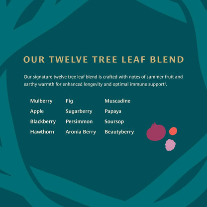 Healing Leaves, Longevity Blend Loose-Leaf Tea- 30 Servings | Biblically Inspired, 12 Fruit Tree Leaf Blend. Supports Digestion, Immune Function, Healthy Inflammation Response and Energy