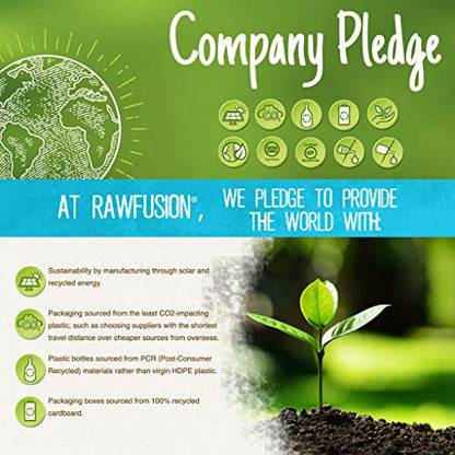 Rawfusion- Vegan Protein Powder, Peanut Chocolate Fudge - 21g of Plant Based Protein