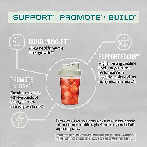 Creatine Monohydrate Powder Micronized PreWorkout Recovery Supplement | Support