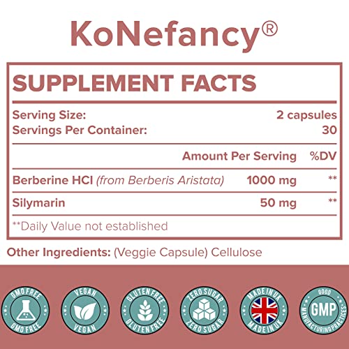 KoNefancy Berberine 1000mg with Silymarin,High Absorption Berberine HCL Supplements
